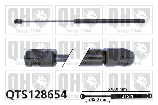QTS128654