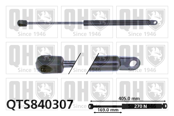 QTS840307