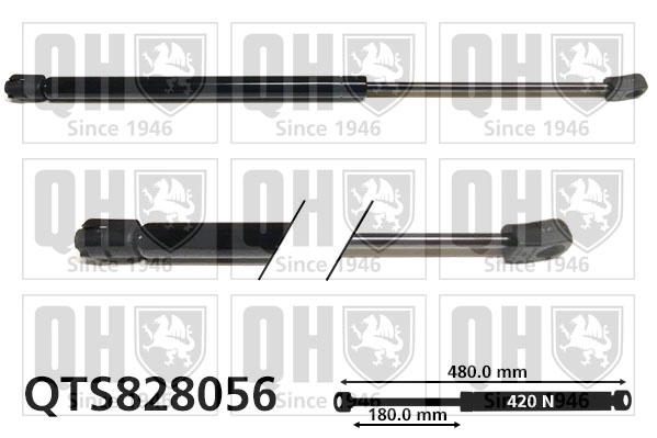 QTS828056