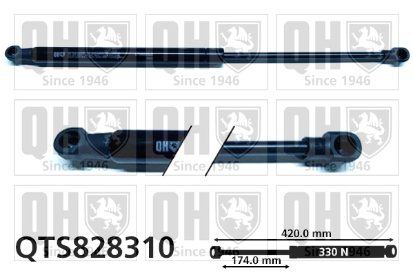 QTS828310