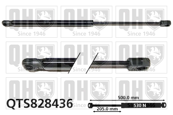 QTS828436