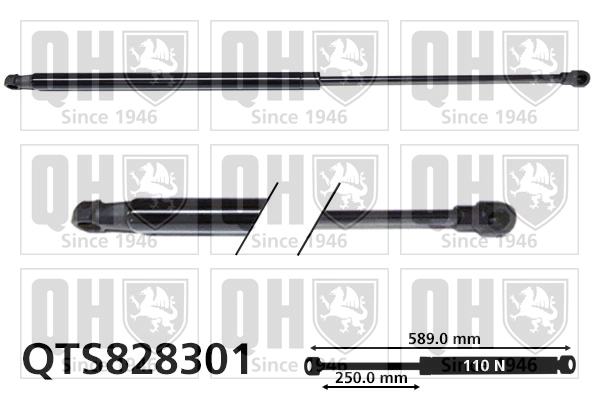 QTS828301
