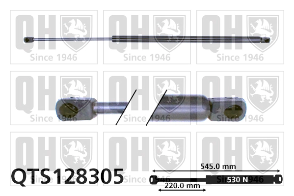 QTS128305