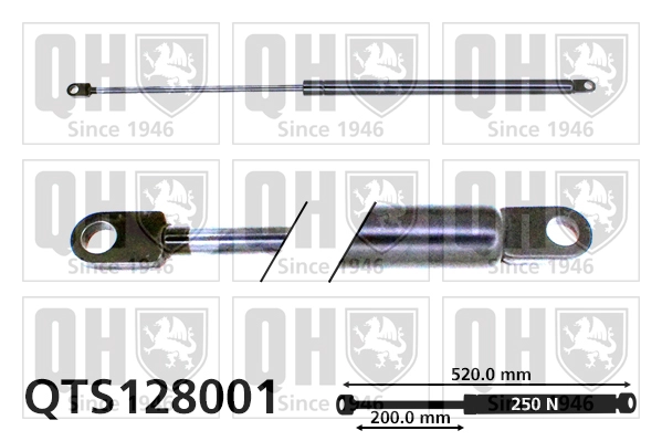 QTS128001