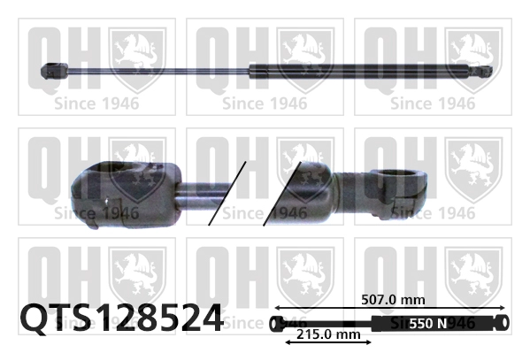 QTS128524