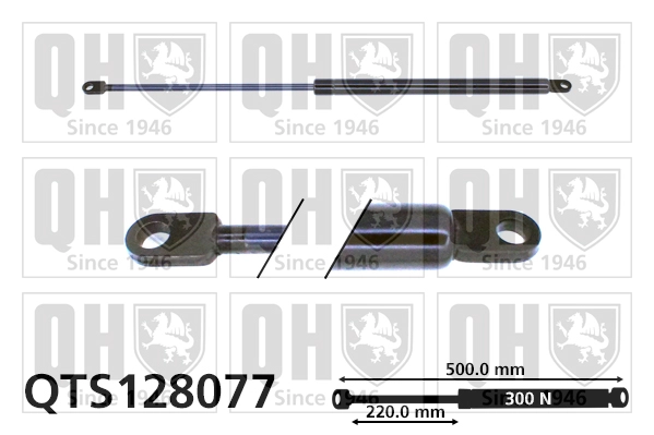 QTS128077