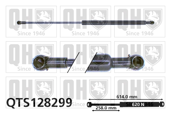QTS128299