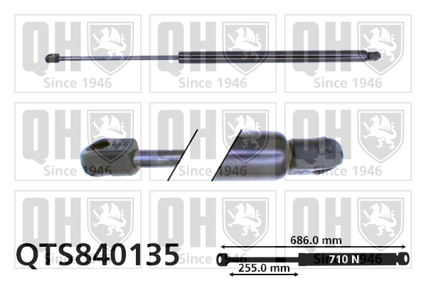 QTS840135