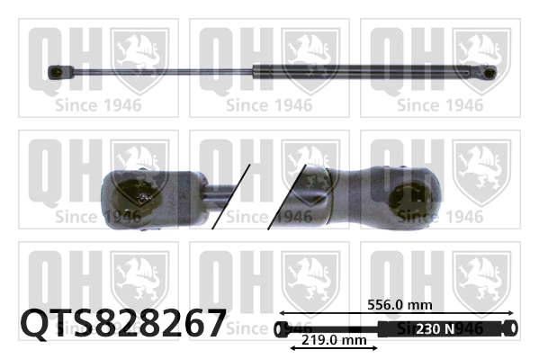 QTS828267