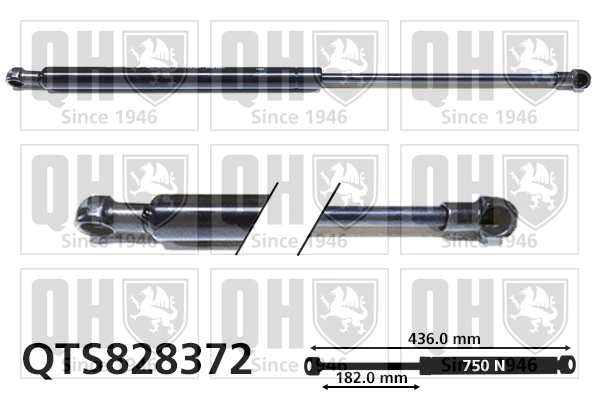 QTS828372