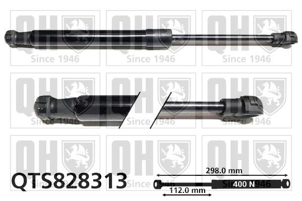 QTS828313