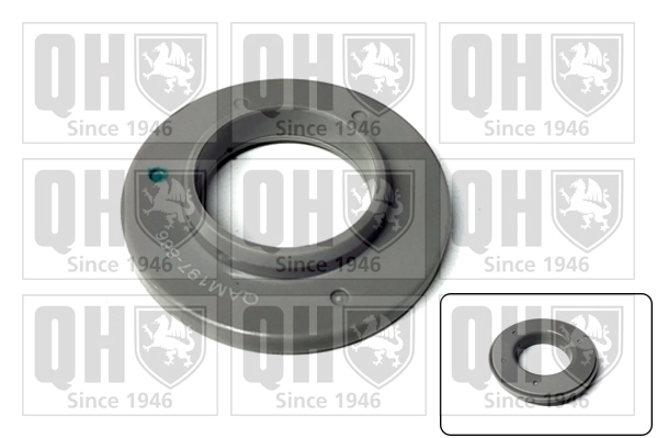 QAM197