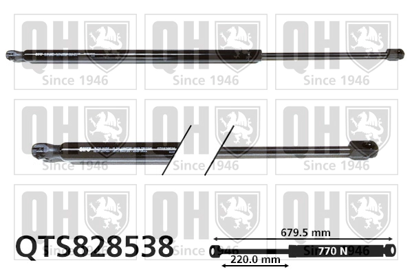 QTS828538
