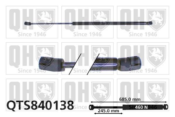 QTS840138