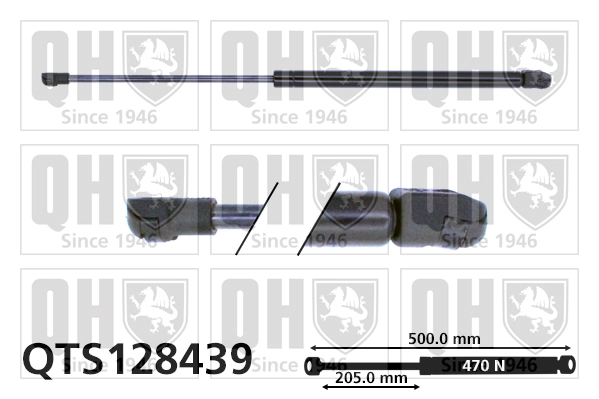 QTS128439