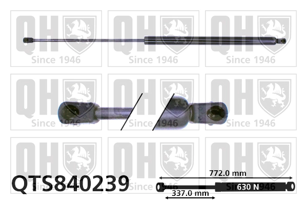 QTS840239