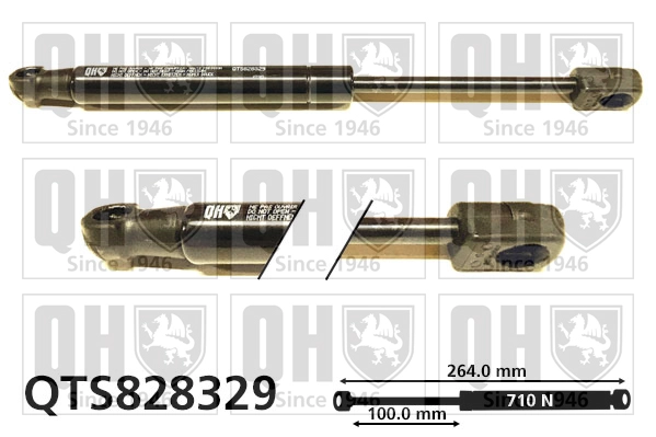 QTS828329
