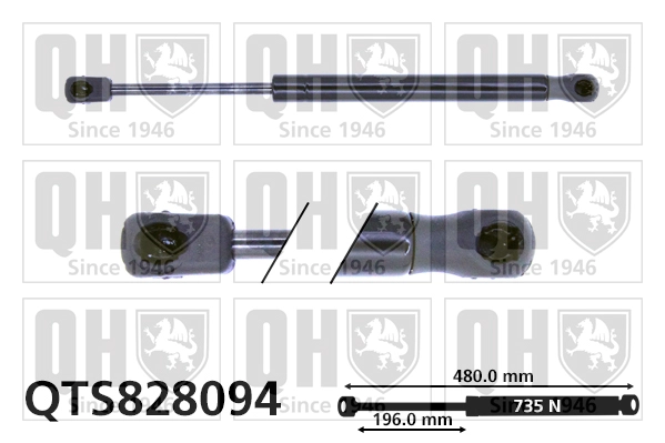 QTS828094