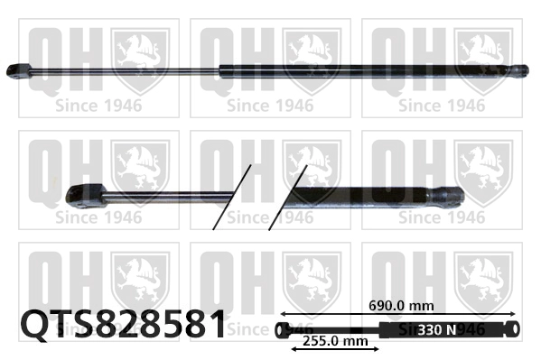 QTS828581