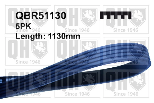 QBR51130