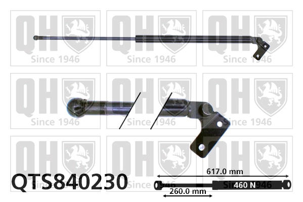 QTS840230