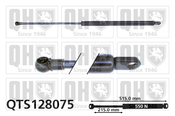 QTS128075