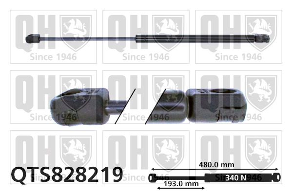QTS828219
