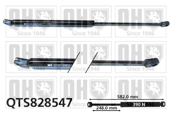 QTS828547