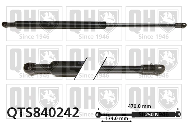 QTS840242