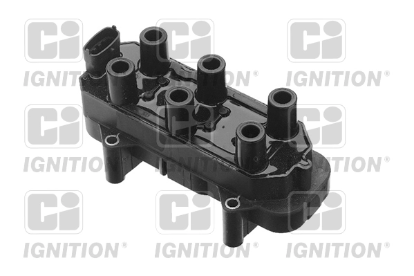 XIC8193