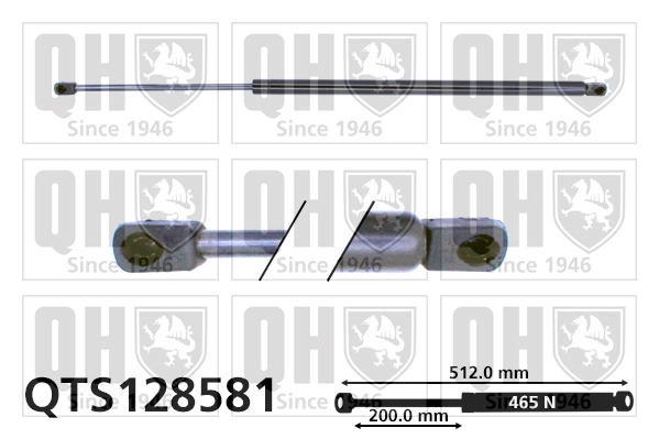 QTS128581