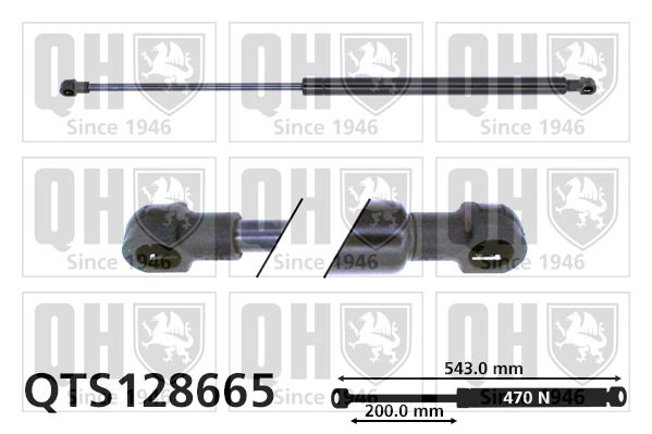 QTS128665