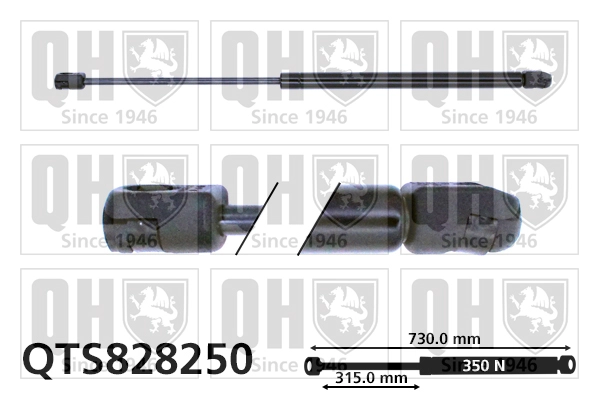 QTS828250