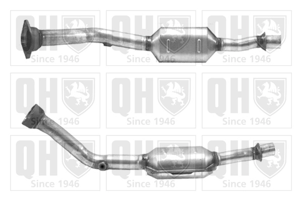 QCAT90173