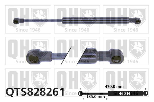 QTS828261