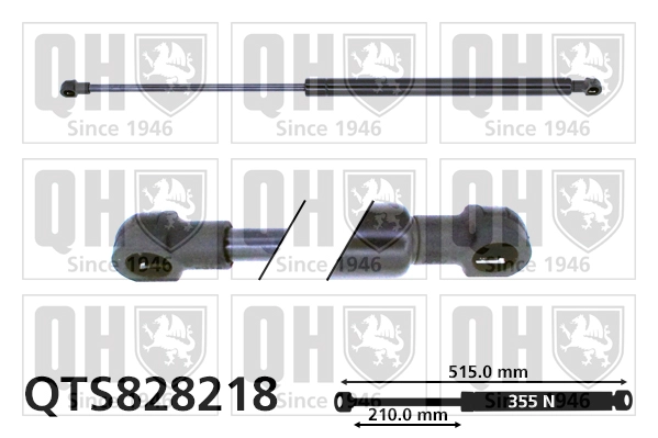 QTS828218