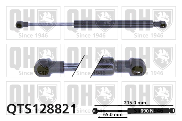 QTS128821