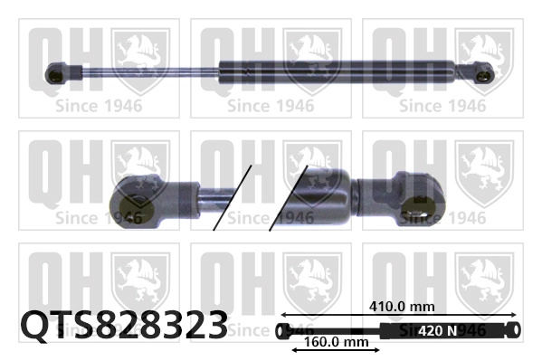 QTS828323