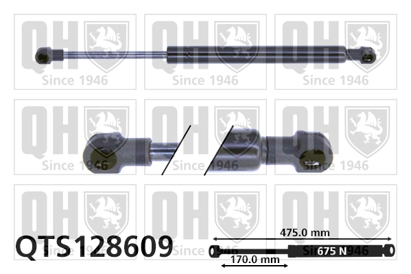 QTS128609