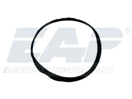 EAP1393