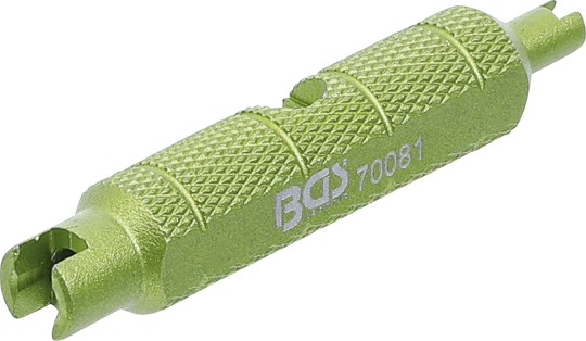 70081