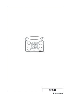 D5001