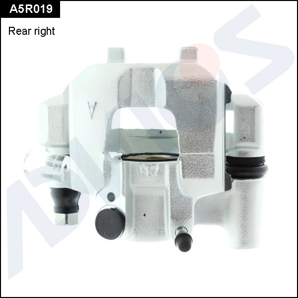 A5R019
