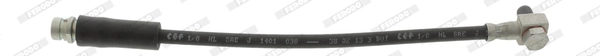 FHY2419