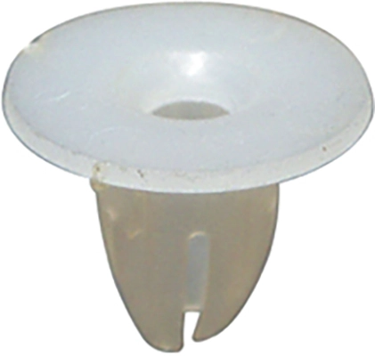 A0019882981