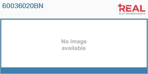 60036020BN
