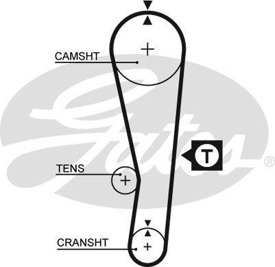 T095