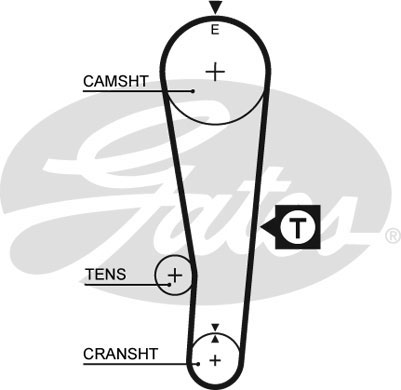 T194