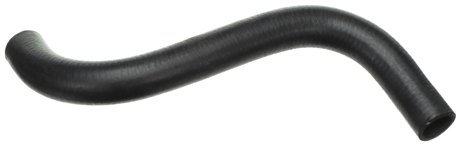 A1155010682