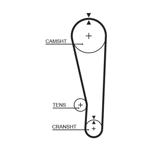 T164